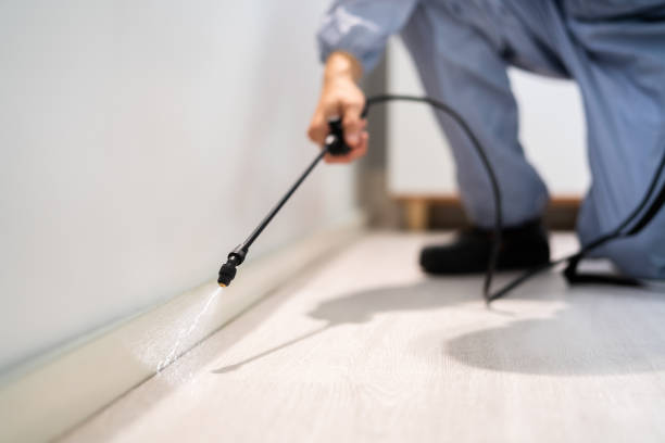Licensed Pest Control service in White Sulphur Springs, WV - Show Me Pest Control