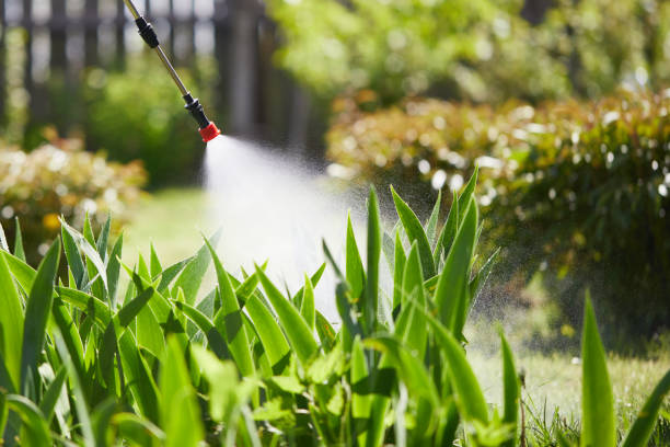 Tamper-Resistant Bait Stations for Rodents in White Sulphur Springs